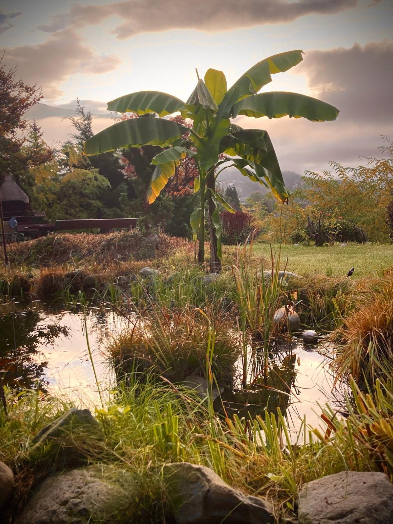 Landhaus Egger เซโบเดิน ภายนอก รูปภาพ